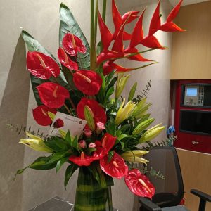 IMG 20240610 WA0003