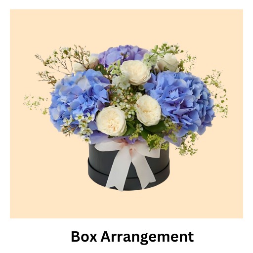 c11eff27 39d0 4905 a502 d1c8c6ab8b6e