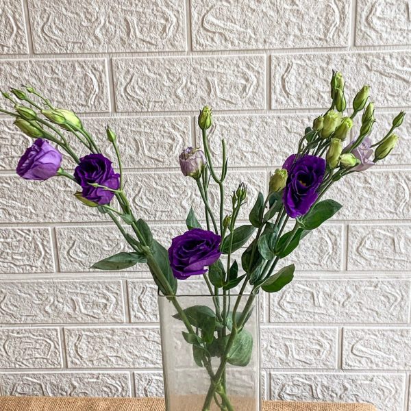 lisianthus