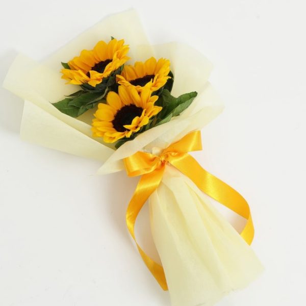 IMG 20250812 WA00912